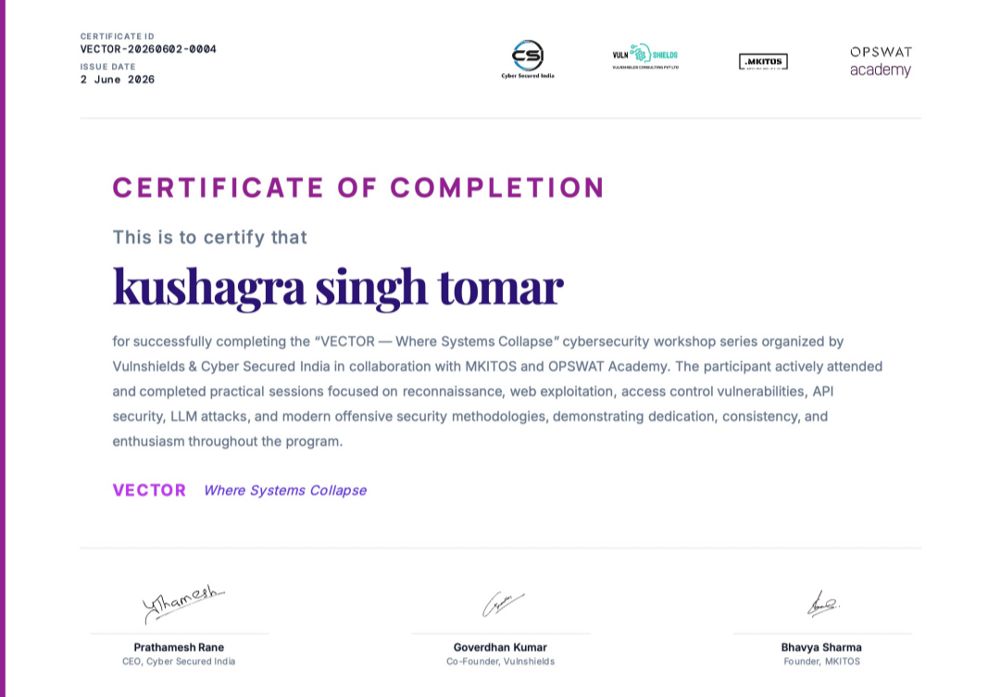 VECTOR: Where Systems Collapse certificate